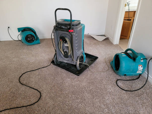 Best Flood restoration services  in Hopatcong, NJ