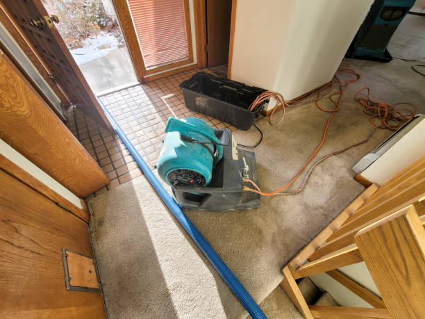 Best Basement water damage restoration  in Hopatcong, NJ