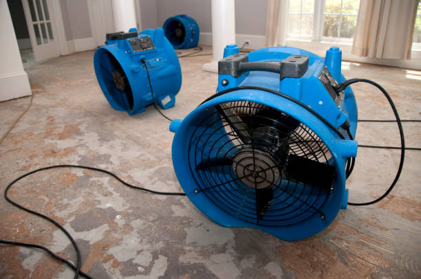 Best Water damage restoration company  in Hopatcong, NJ