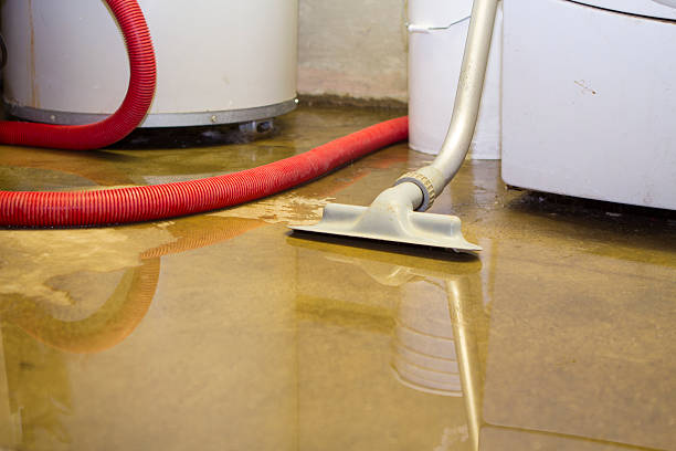 Water damage restoration experts in NJ